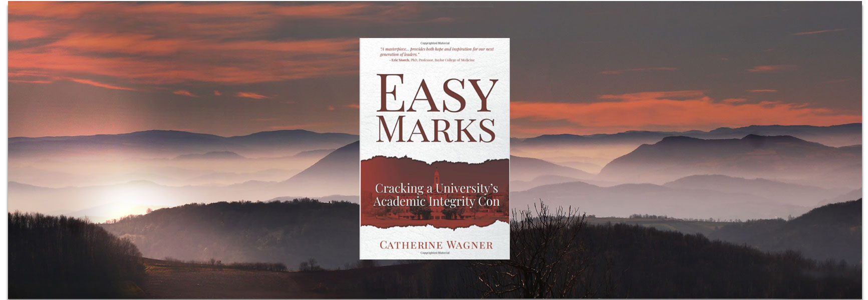 easy marks academic integrity con by catherine wagner